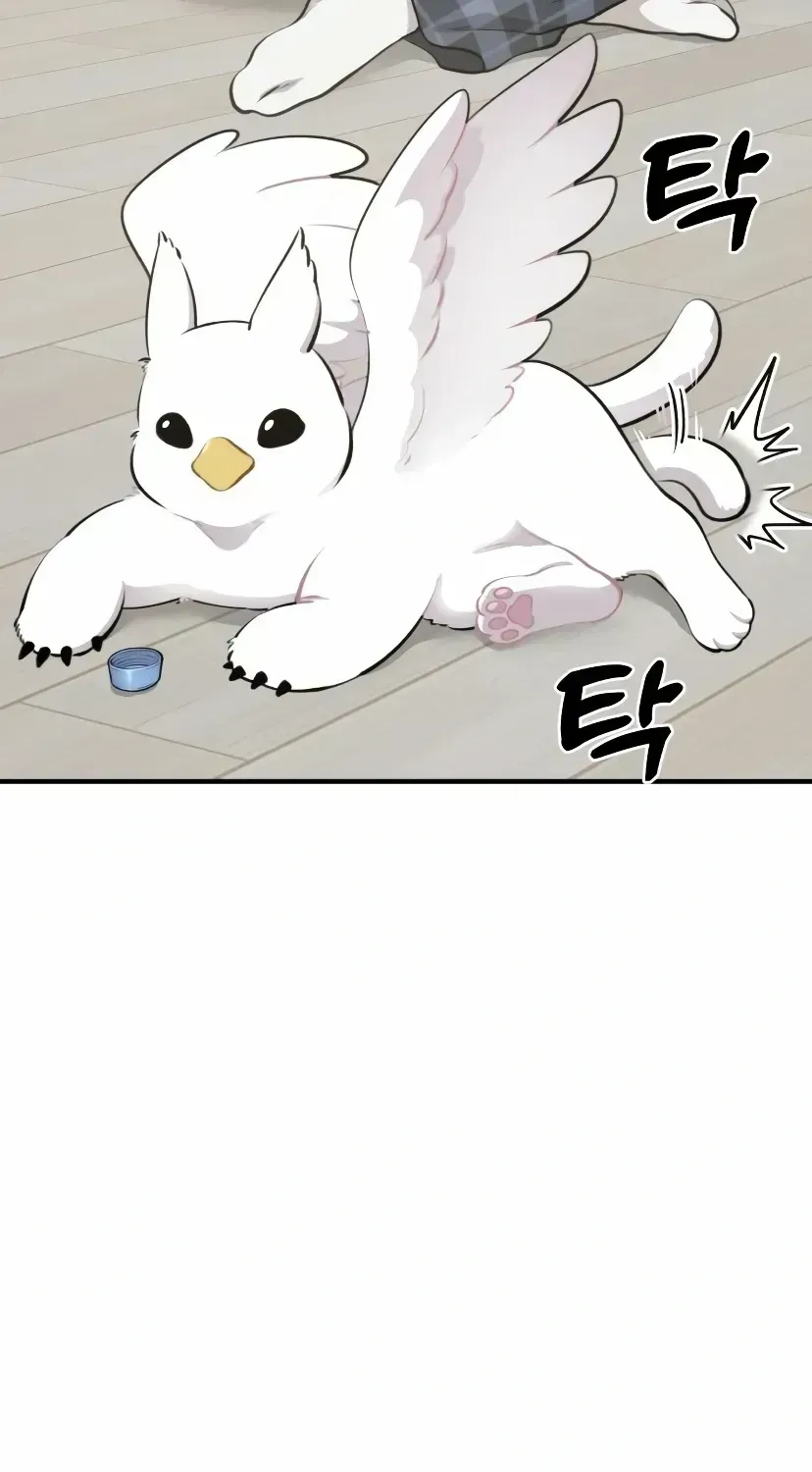 Hello, Griffin the Fluffy Bird! Chapter 1.2 page 84 - 