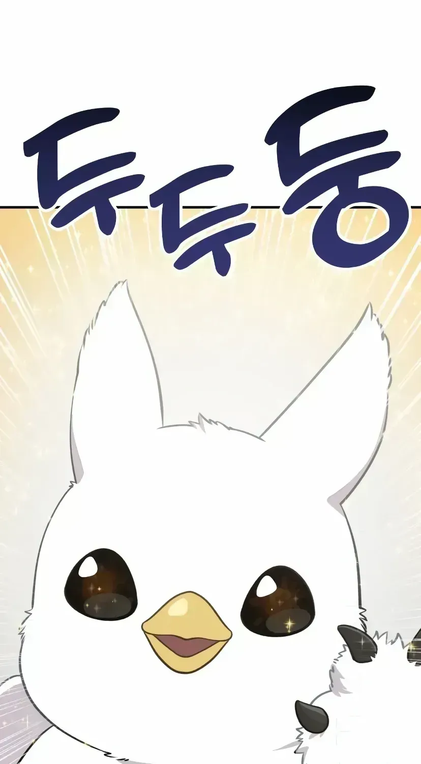 Hello, Griffin the Fluffy Bird! Chapter 1.3 page 17 - 