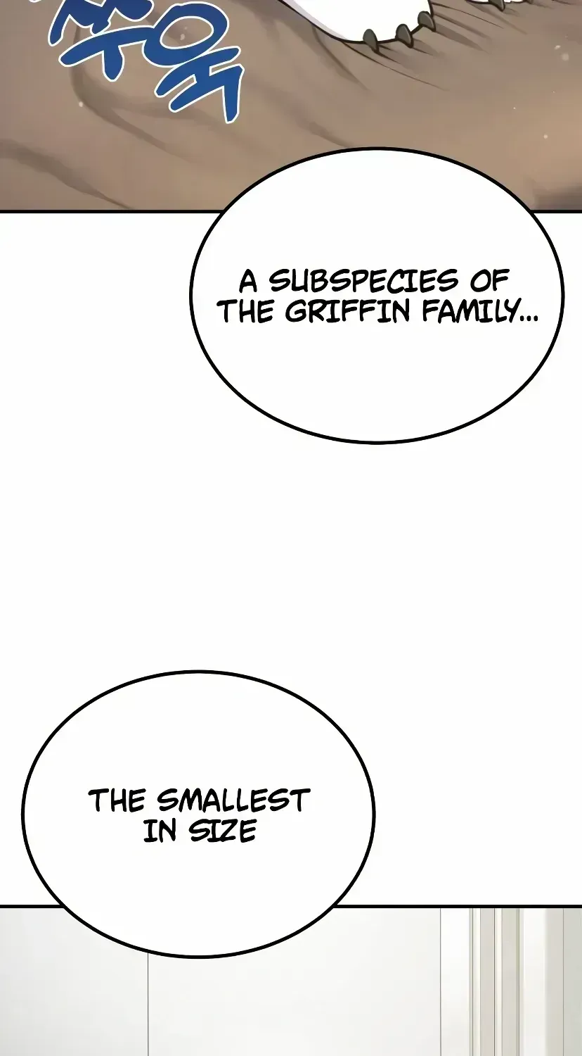 Hello, Griffin the Fluffy Bird! Chapter 1.3 page 31 - 
