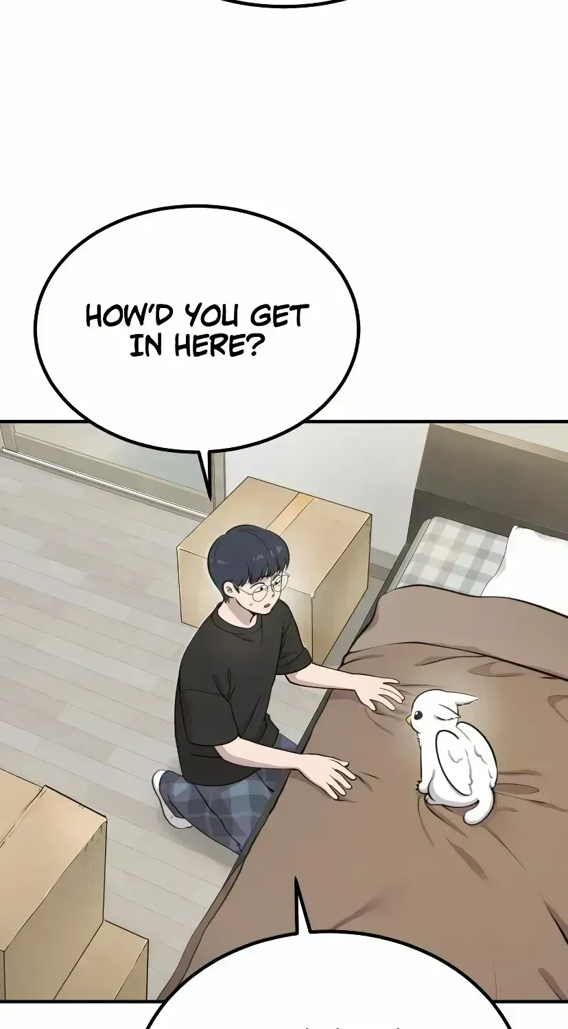 Hello, Griffin the Fluffy Bird! Chapter 1.3 page 36 - 