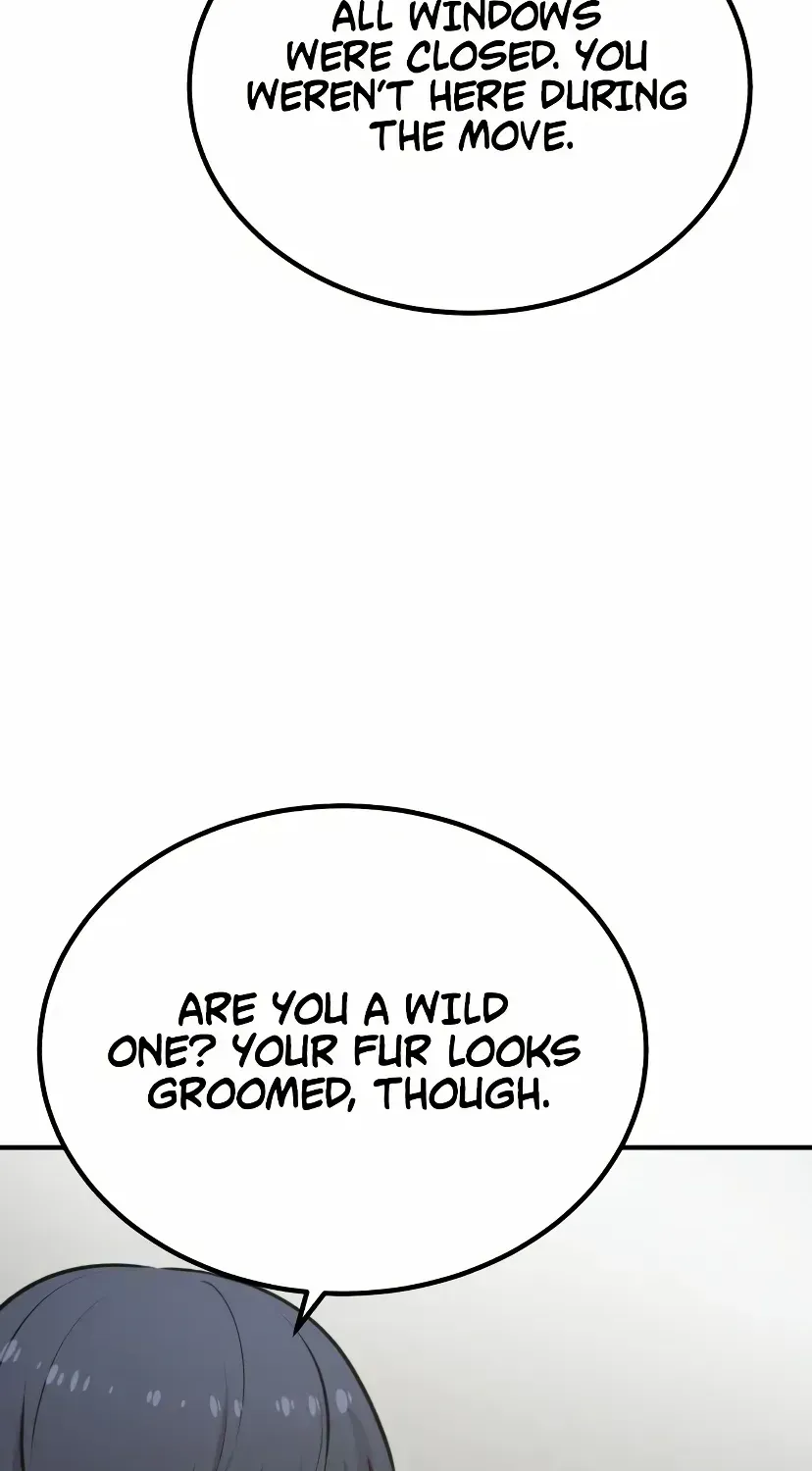 Hello, Griffin the Fluffy Bird! Chapter 1.3 page 37 - 