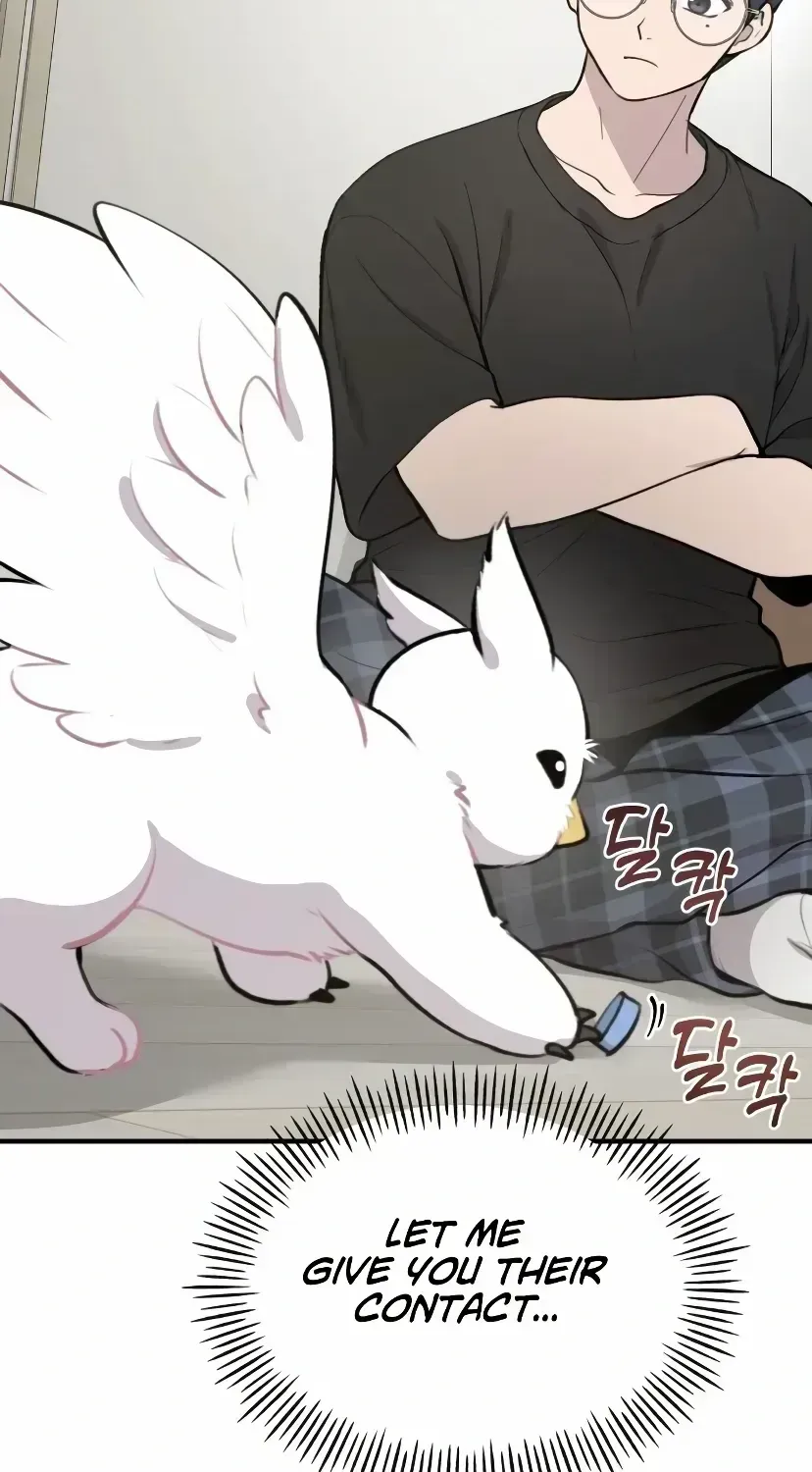 Hello, Griffin the Fluffy Bird! Chapter 1.3 page 74 - 
