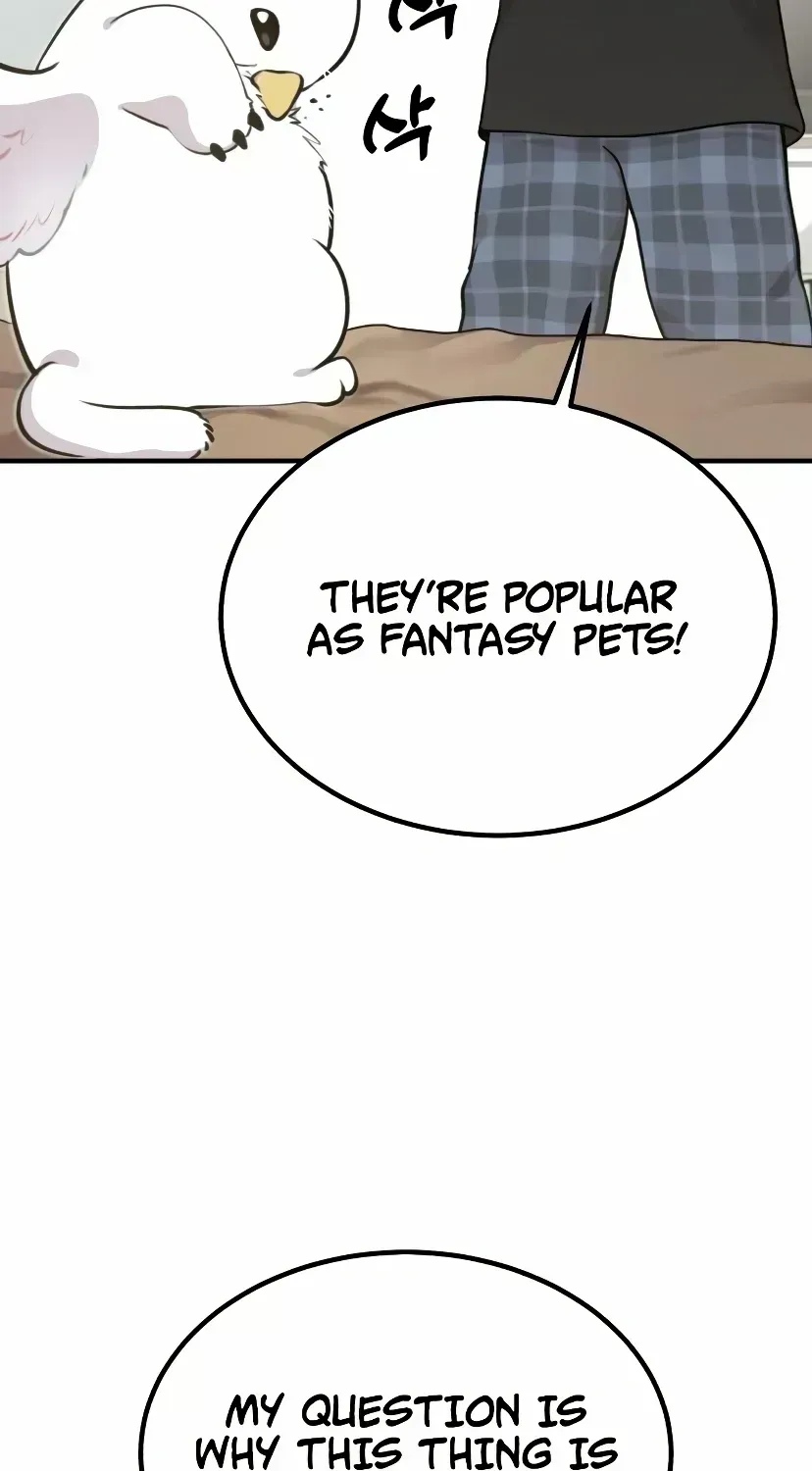 Hello, Griffin the Fluffy Bird! Chapter 1.4 page 34 - 