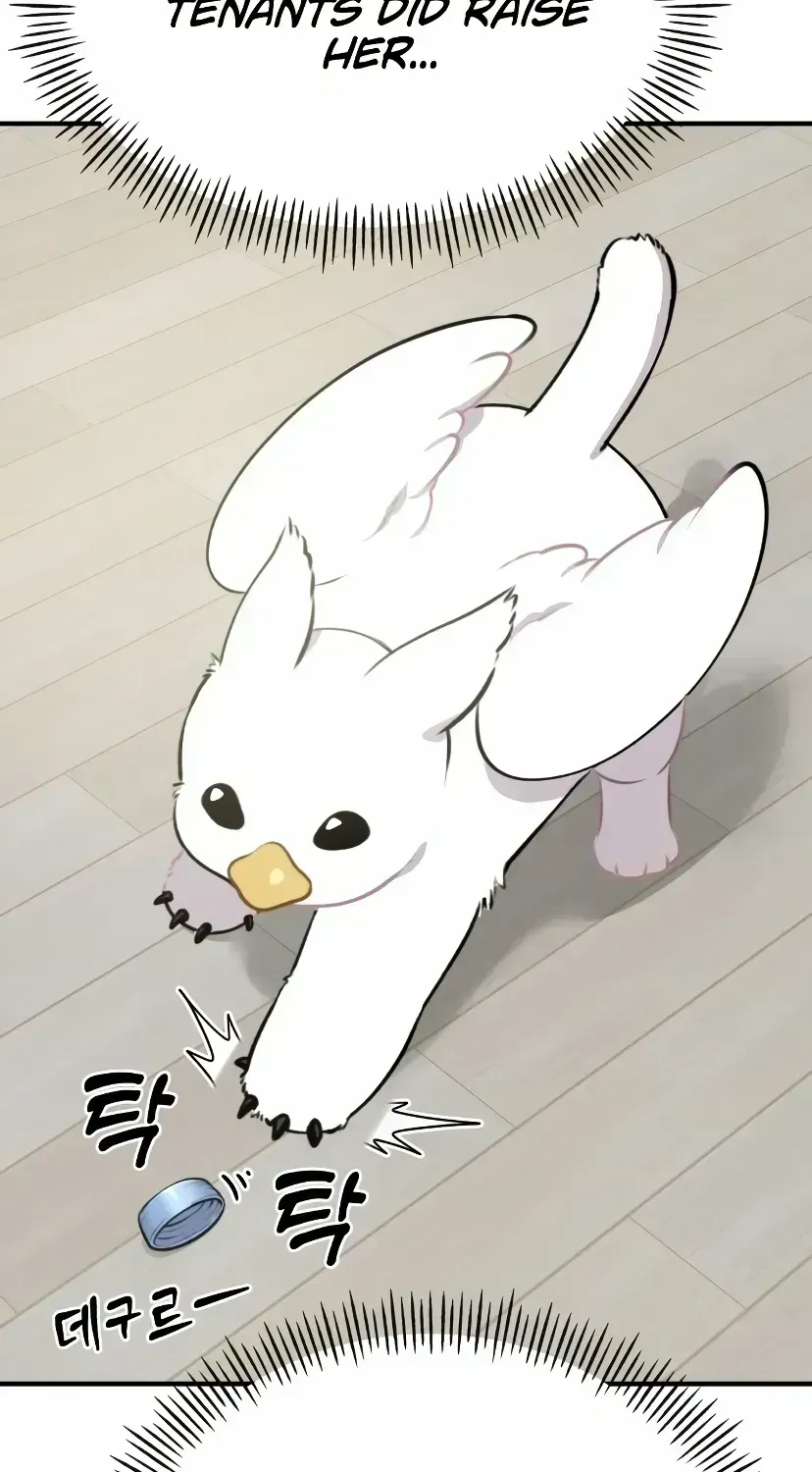 Hello, Griffin the Fluffy Bird! Chapter 1.4 page 72 - 