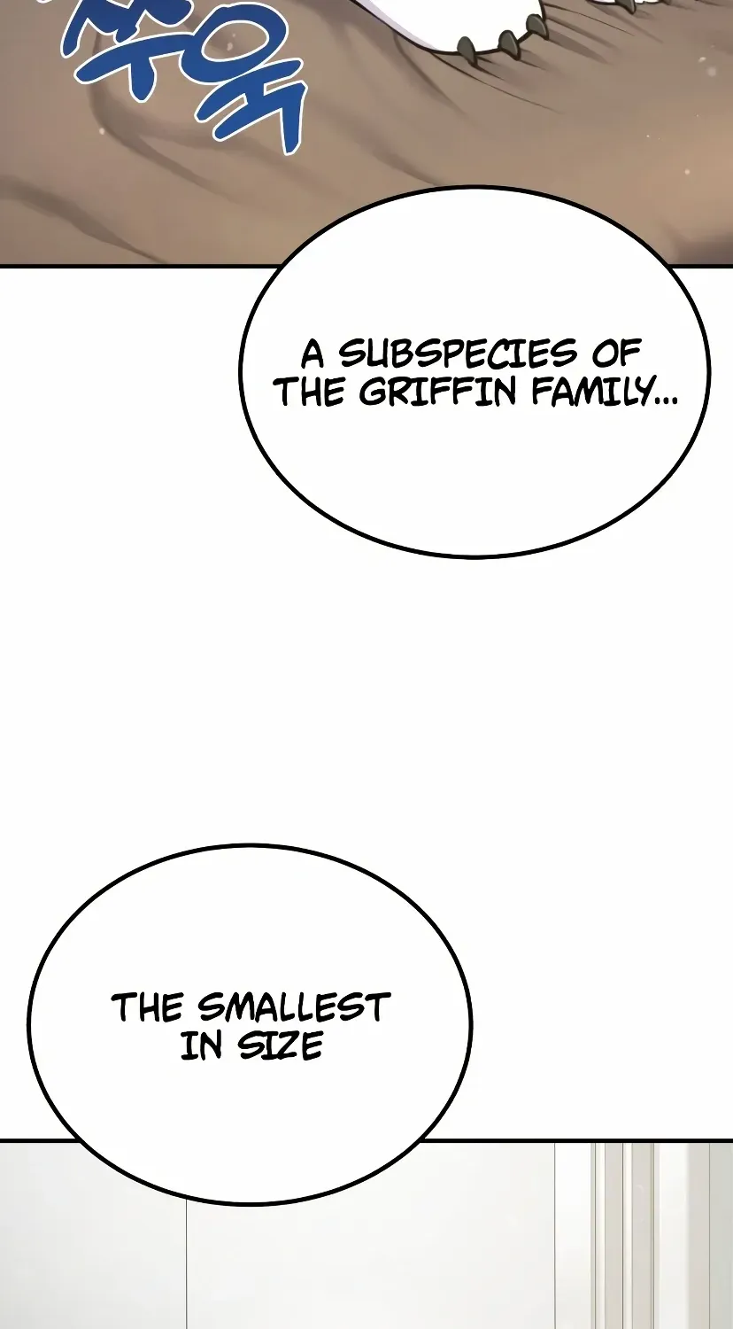 Hello, Griffin the Fluffy Bird! Chapter 1 page 31 - 