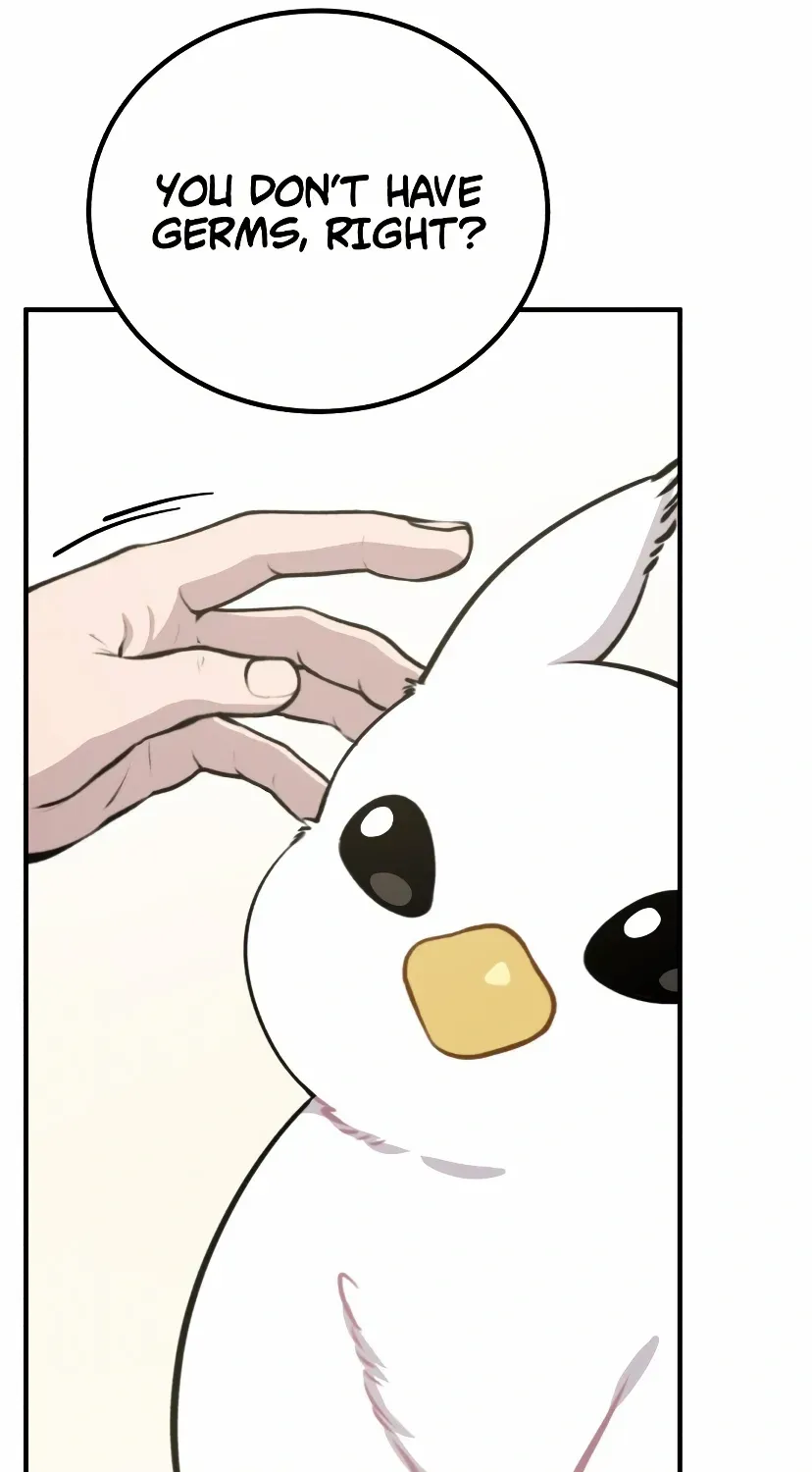 Hello, Griffin the Fluffy Bird! Chapter 1 page 40 - 