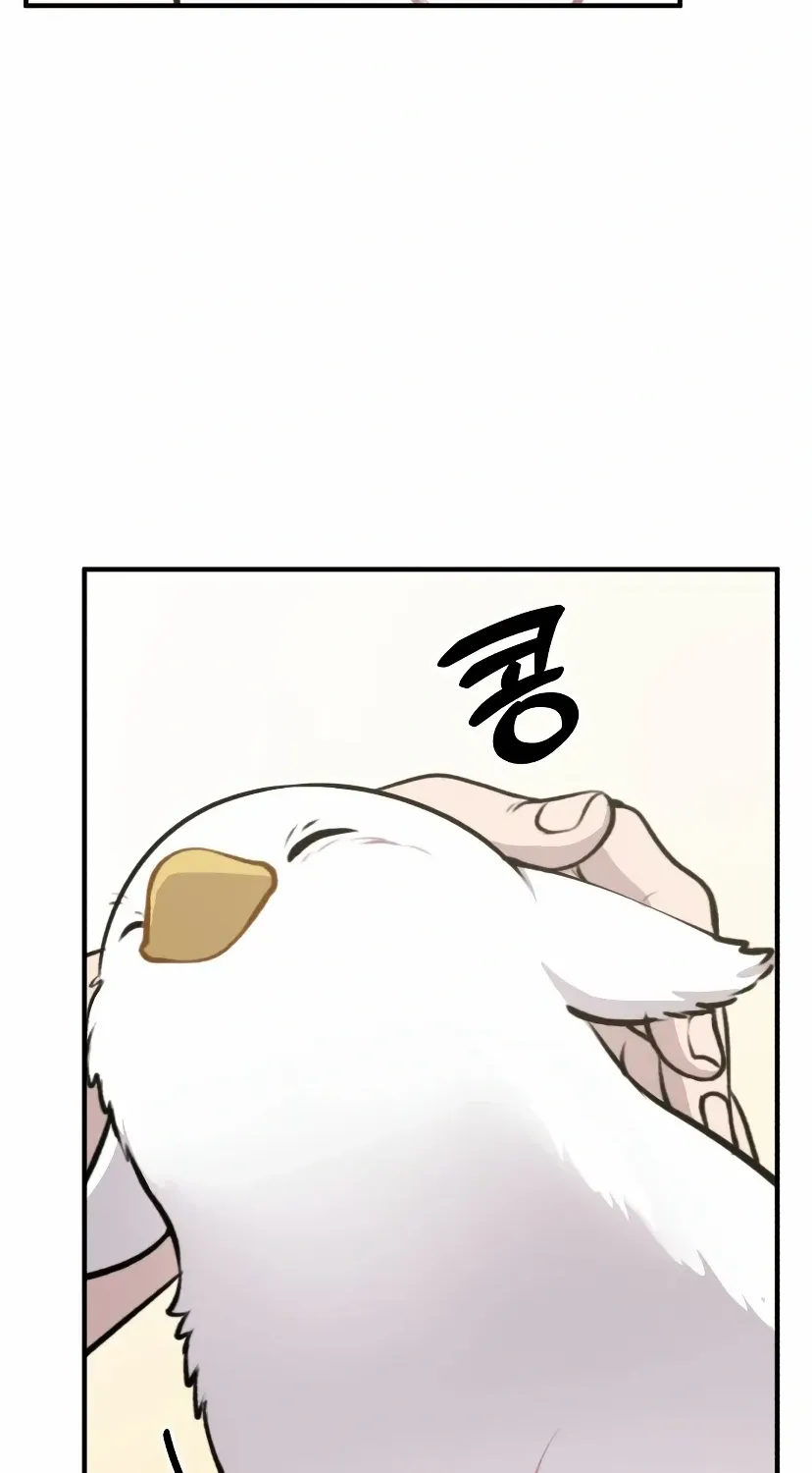Hello, Griffin the Fluffy Bird! Chapter 1 page 41 - 