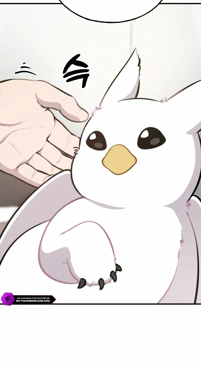 Hello, Griffin the Fluffy Bird! Chapter 1 page 46 - 