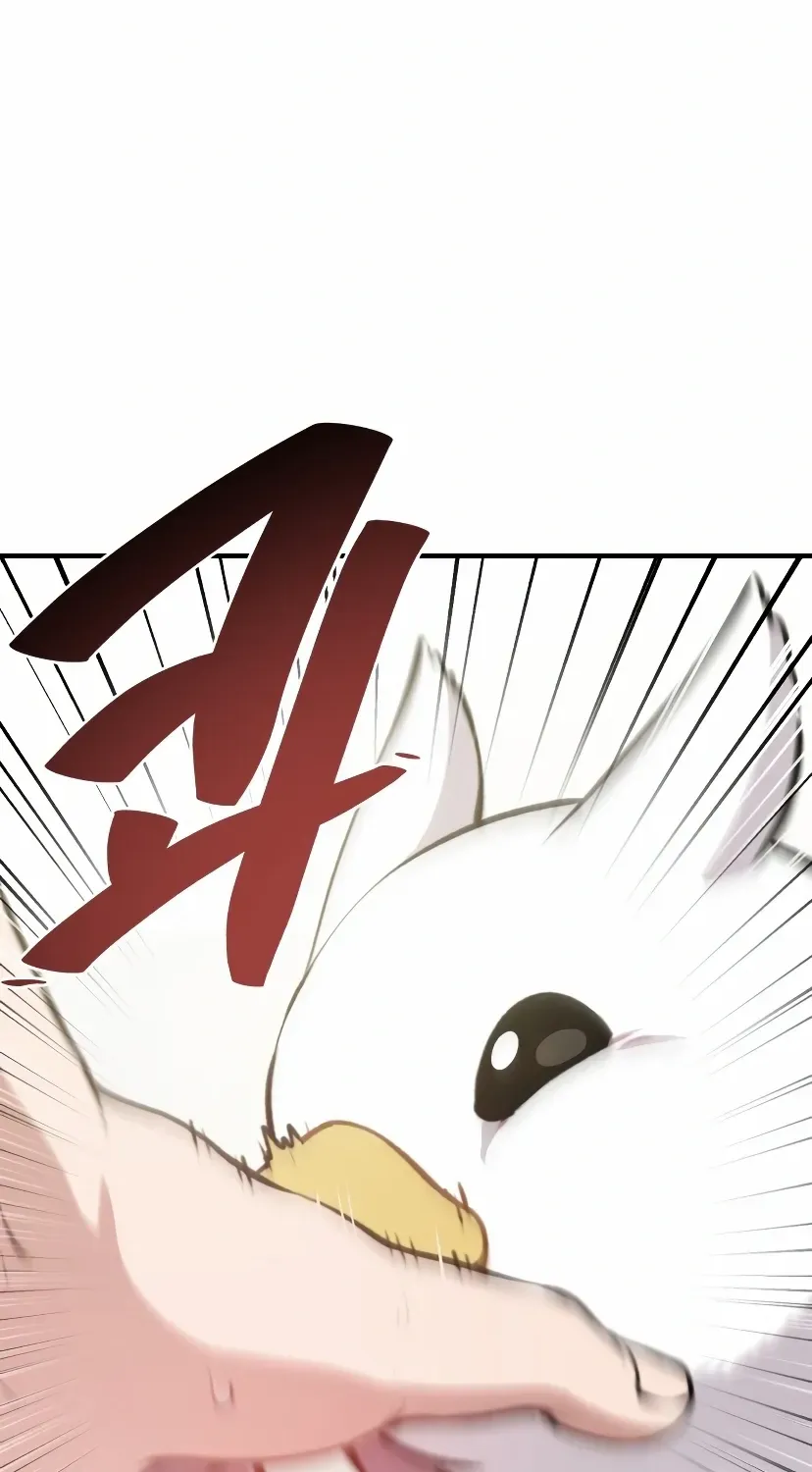Hello, Griffin the Fluffy Bird! Chapter 1 page 47 - 