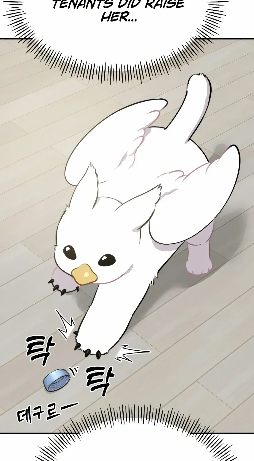 Hello, Griffin the Fluffy Bird! Chapter 1 page 72 - 