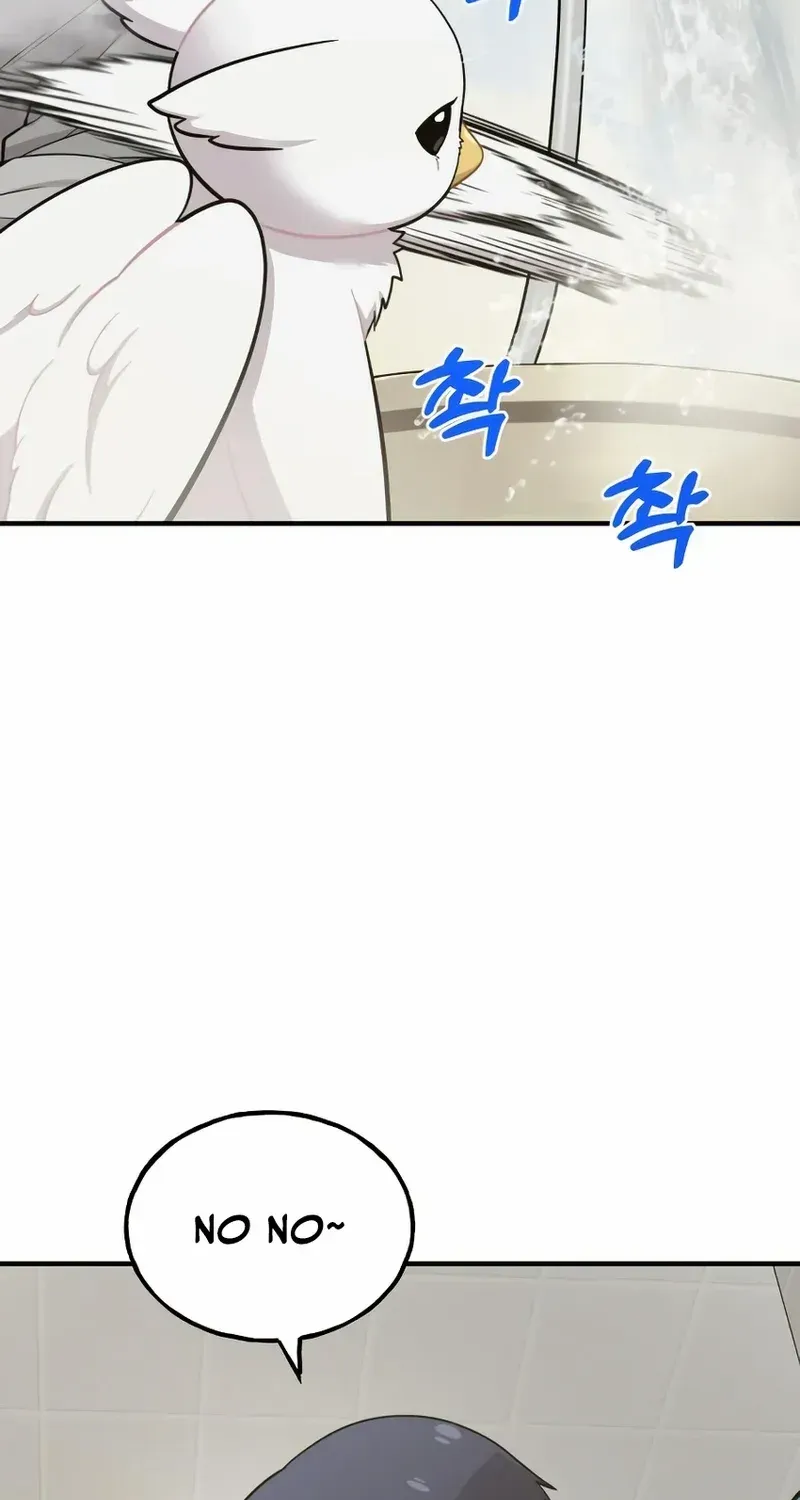 Hello, Griffin the Fluffy Bird! Chapter 11 page 11 - 