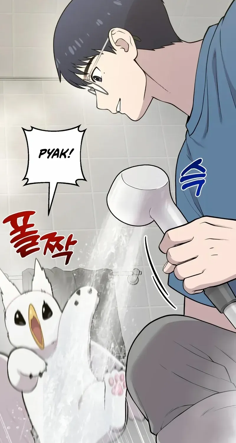 Hello, Griffin the Fluffy Bird! Chapter 11 page 12 - 