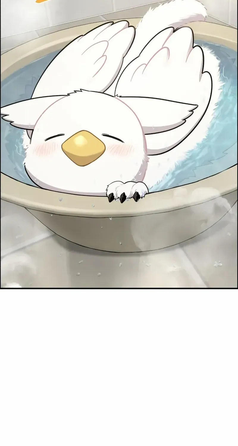 Hello, Griffin the Fluffy Bird! Chapter 11 page 18 - 