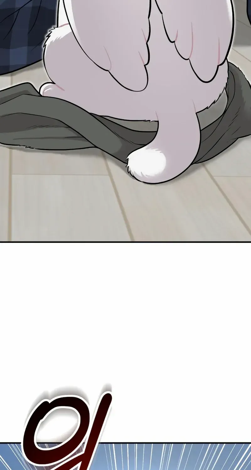 Hello, Griffin the Fluffy Bird! Chapter 11 page 37 - 