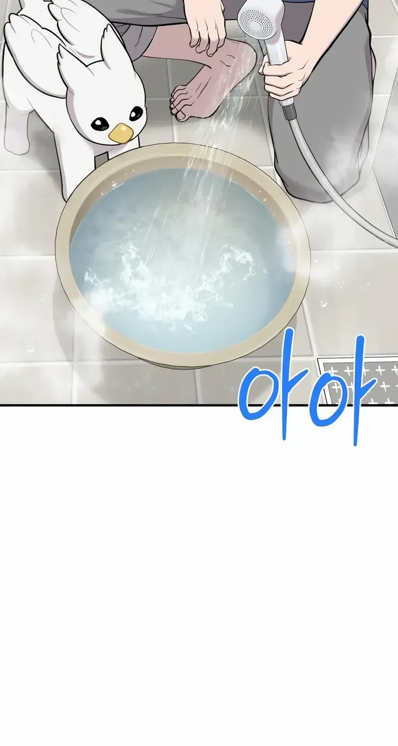 Hello, Griffin the Fluffy Bird! Chapter 11 page 5 - 
