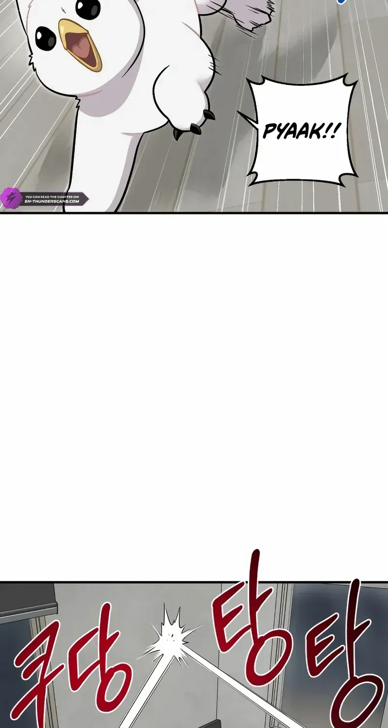 Hello, Griffin the Fluffy Bird! Chapter 11 page 42 - 