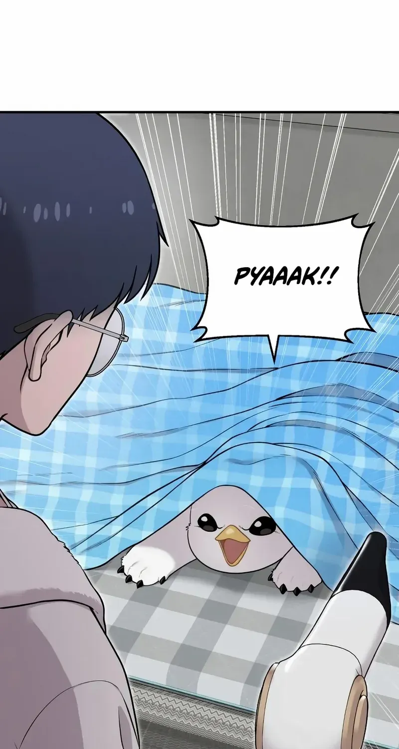 Hello, Griffin the Fluffy Bird! Chapter 11 page 46 - 