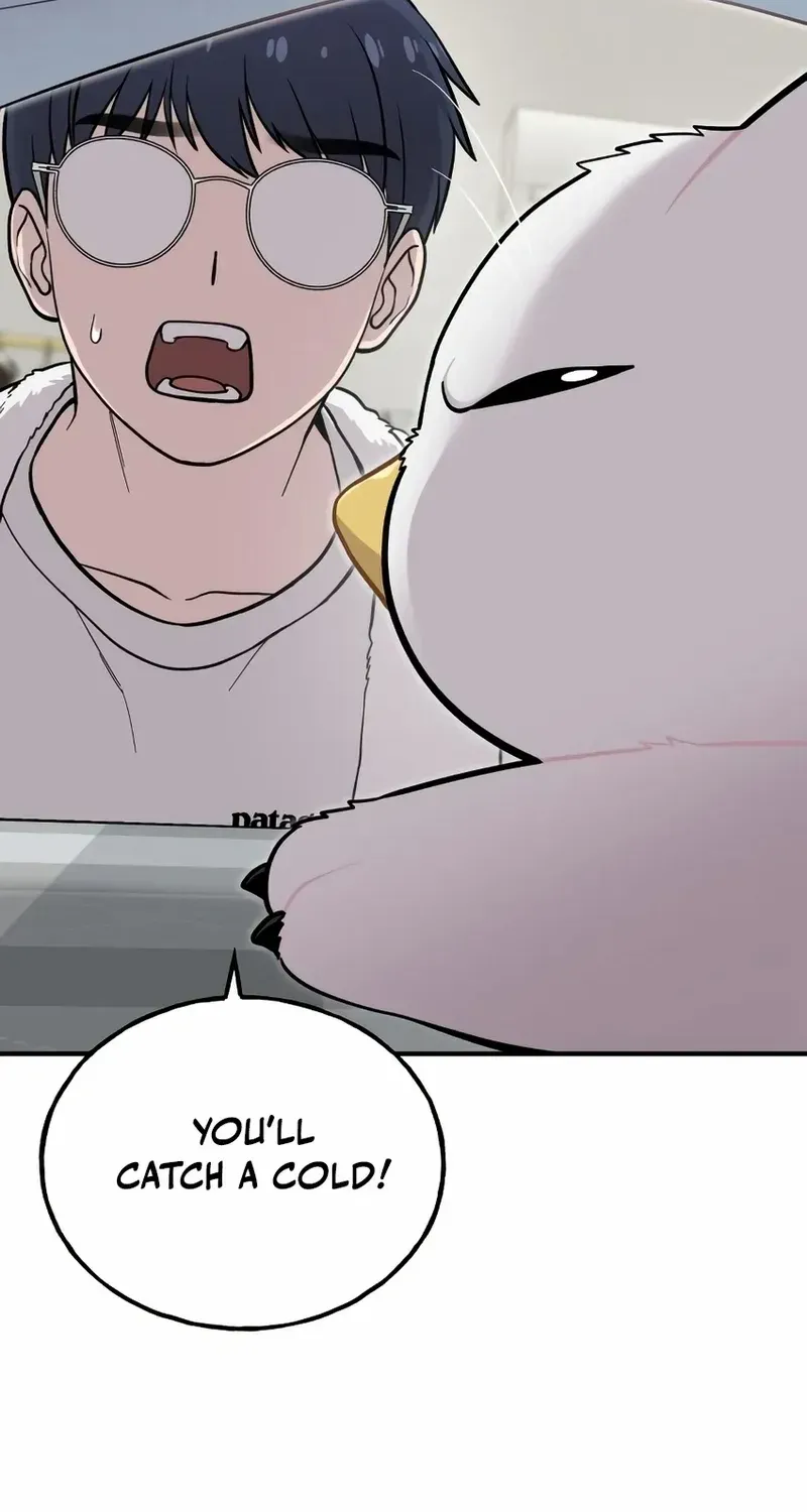 Hello, Griffin the Fluffy Bird! Chapter 11 page 48 - 