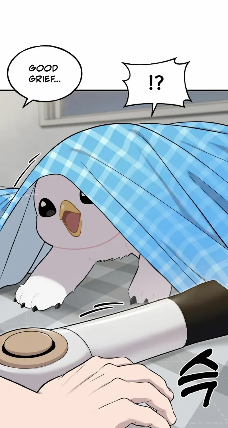 Hello, Griffin the Fluffy Bird! Chapter 11 page 49 - 