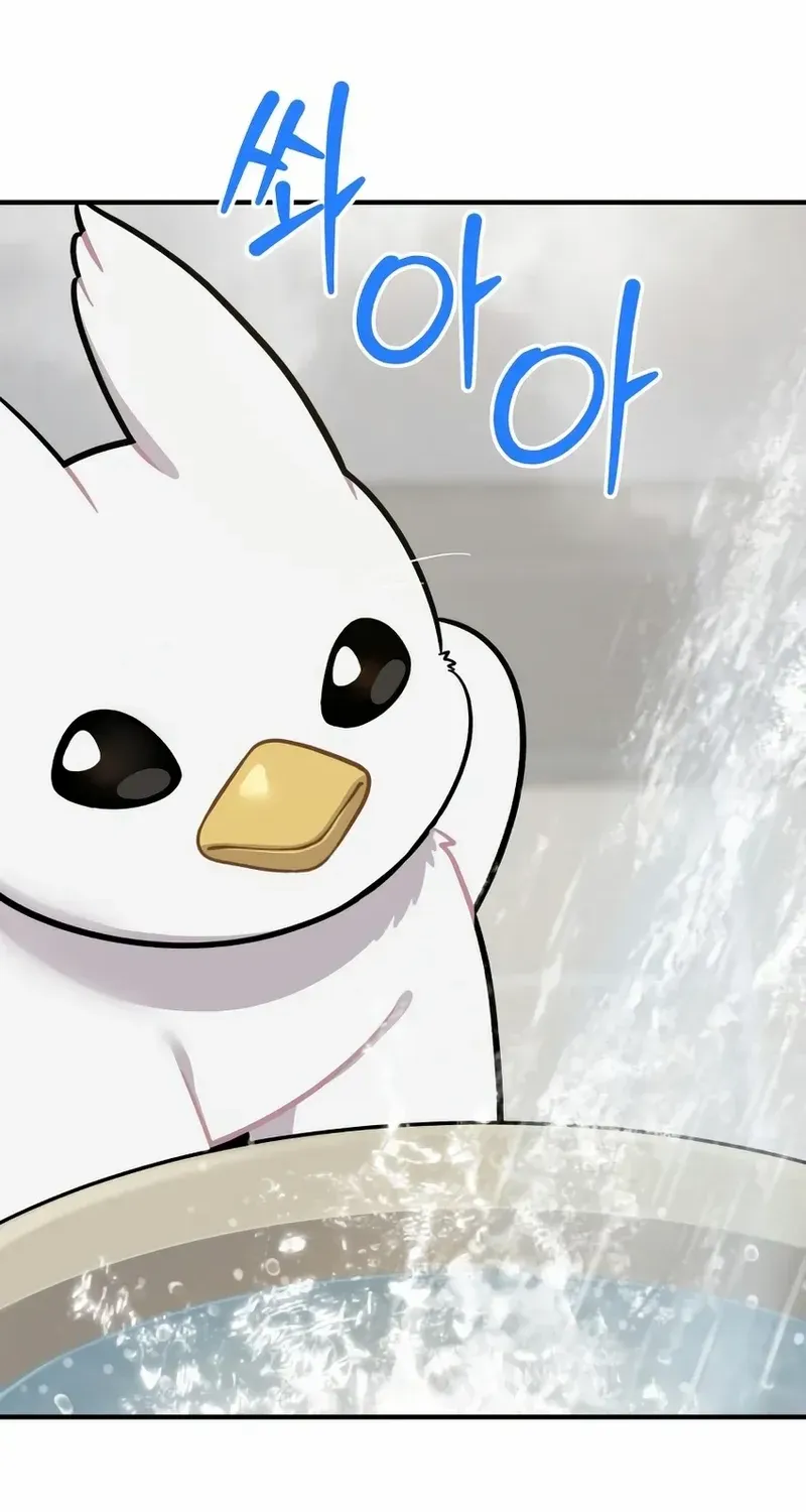 Hello, Griffin the Fluffy Bird! Chapter 11 page 6 - 