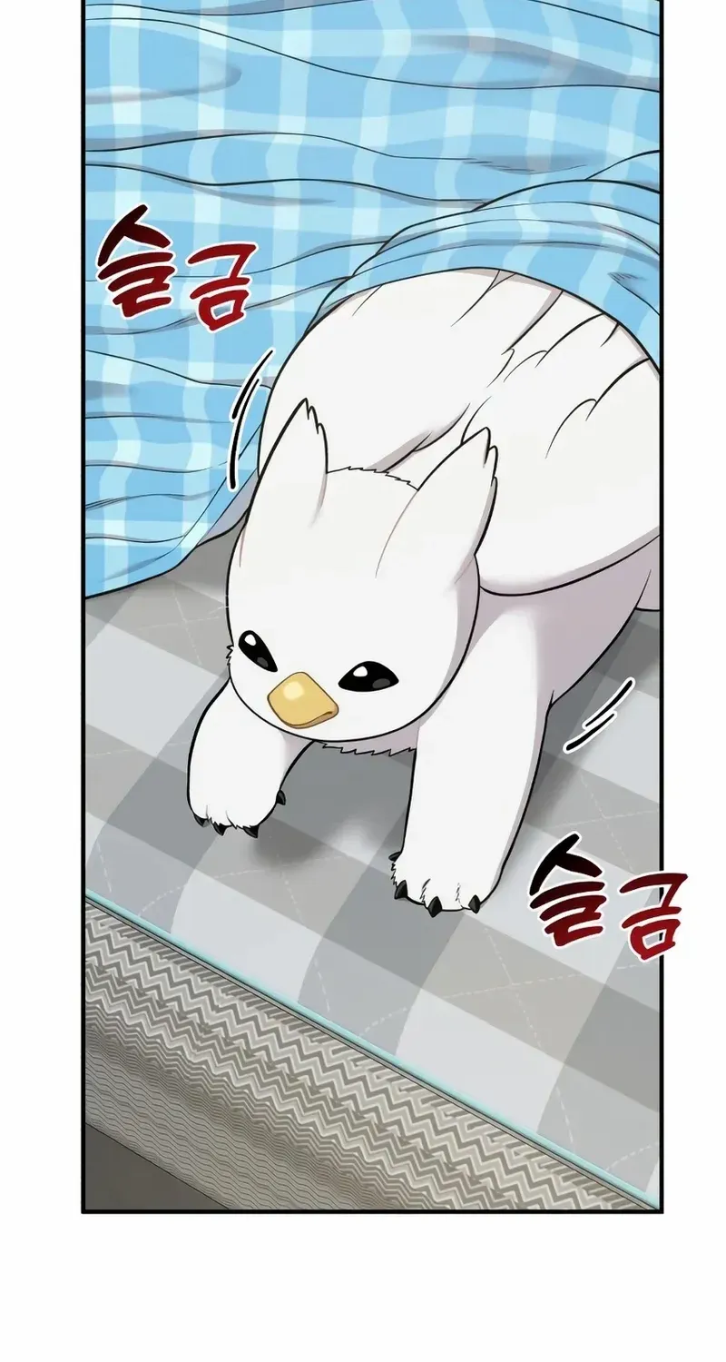 Hello, Griffin the Fluffy Bird! Chapter 11 page 56 - 