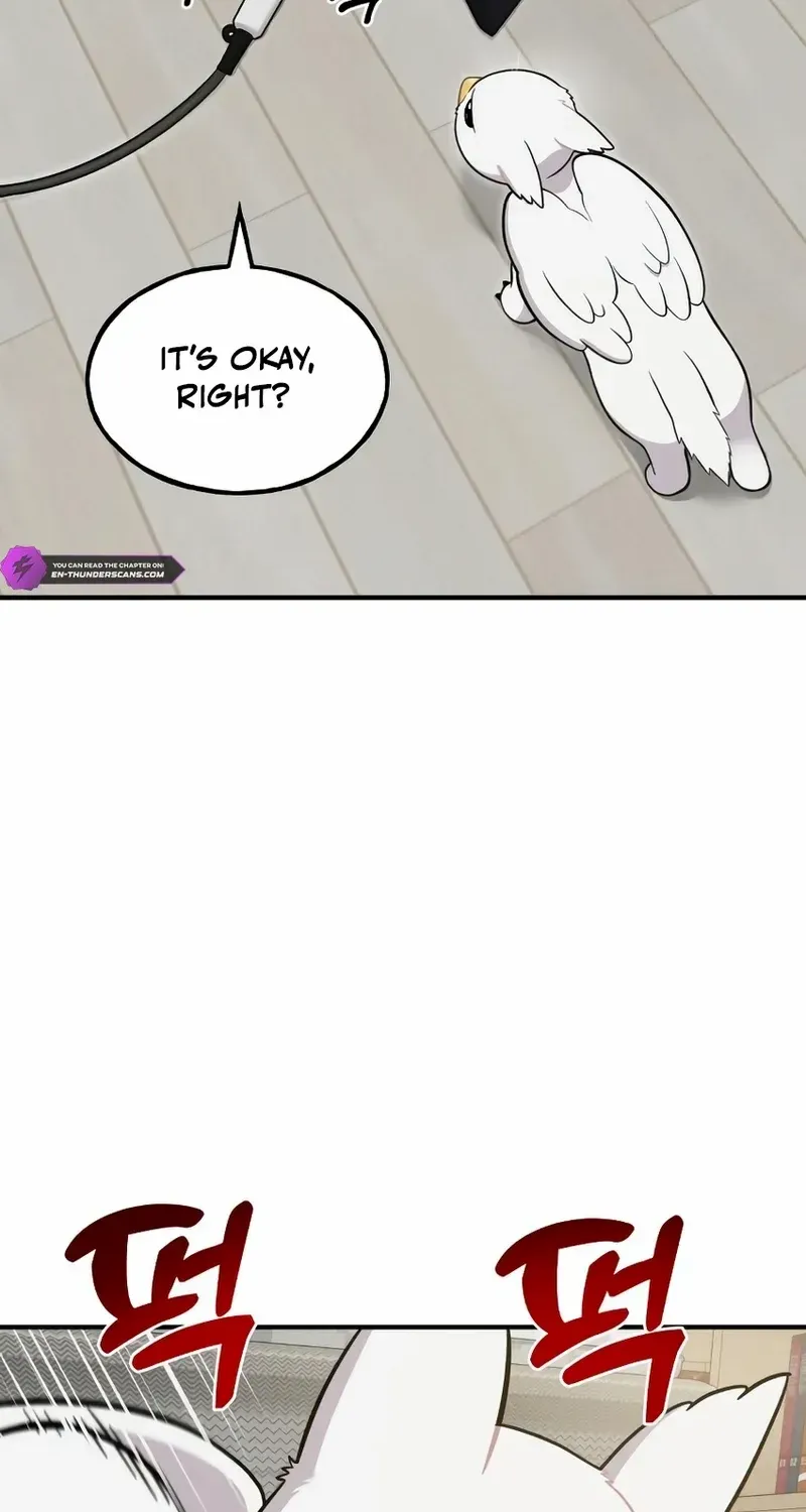 Hello, Griffin the Fluffy Bird! Chapter 11 page 58 - 