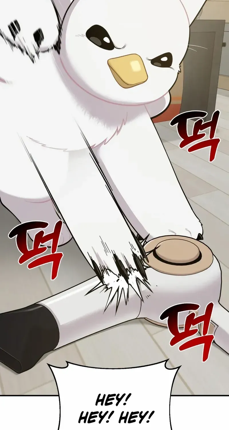 Hello, Griffin the Fluffy Bird! Chapter 11 page 59 - 