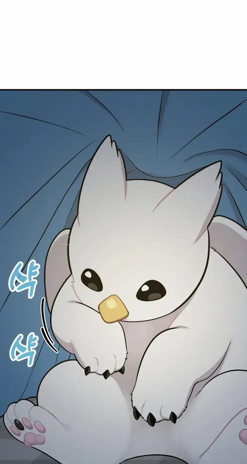Hello, Griffin the Fluffy Bird! Chapter 11 page 62 - 