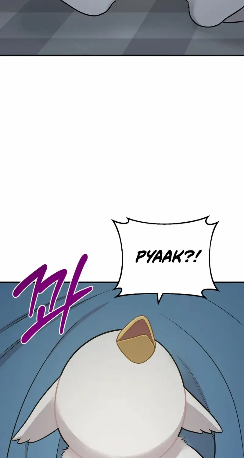 Hello, Griffin the Fluffy Bird! Chapter 11 page 63 - 