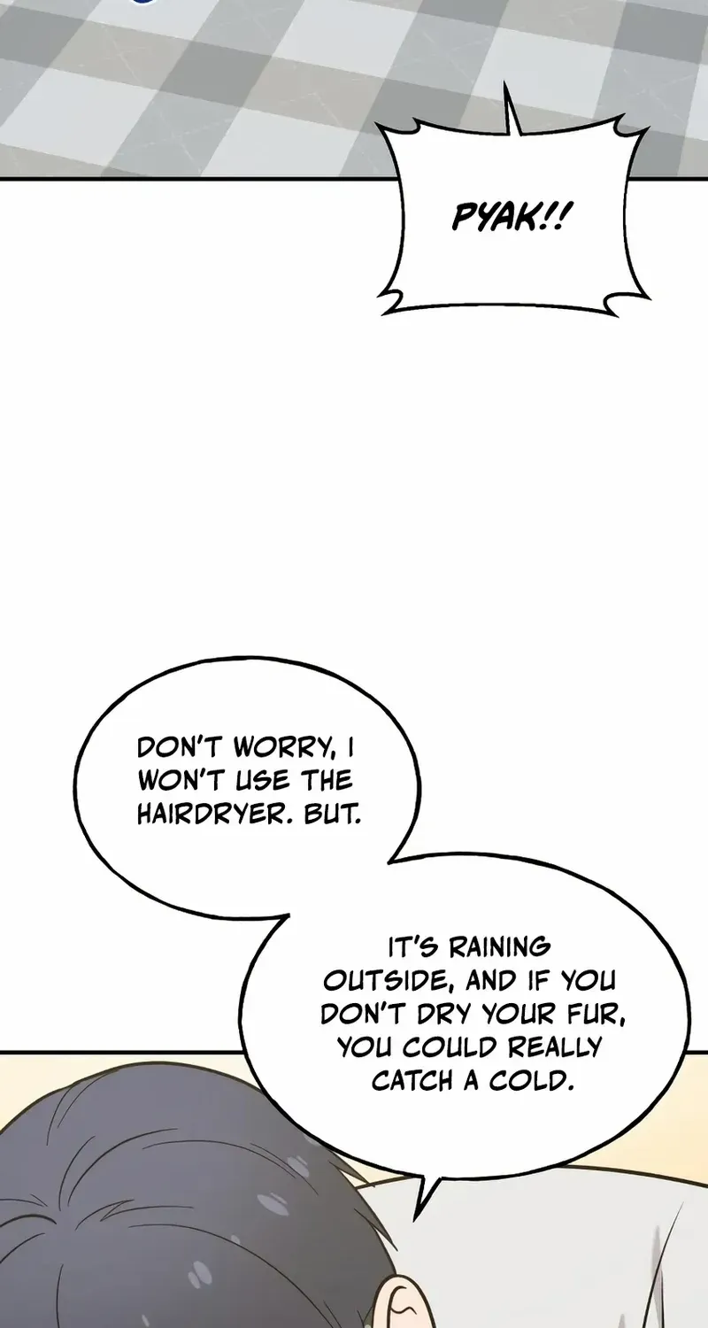 Hello, Griffin the Fluffy Bird! Chapter 11 page 66 - 