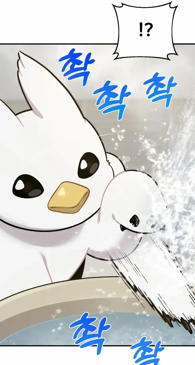 Hello, Griffin the Fluffy Bird! Chapter 11 page 9 - 