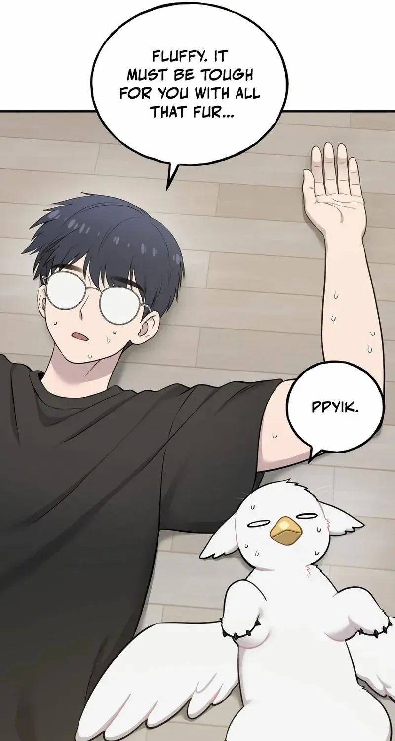 Hello, Griffin the Fluffy Bird! Chapter 12 page 17 - 