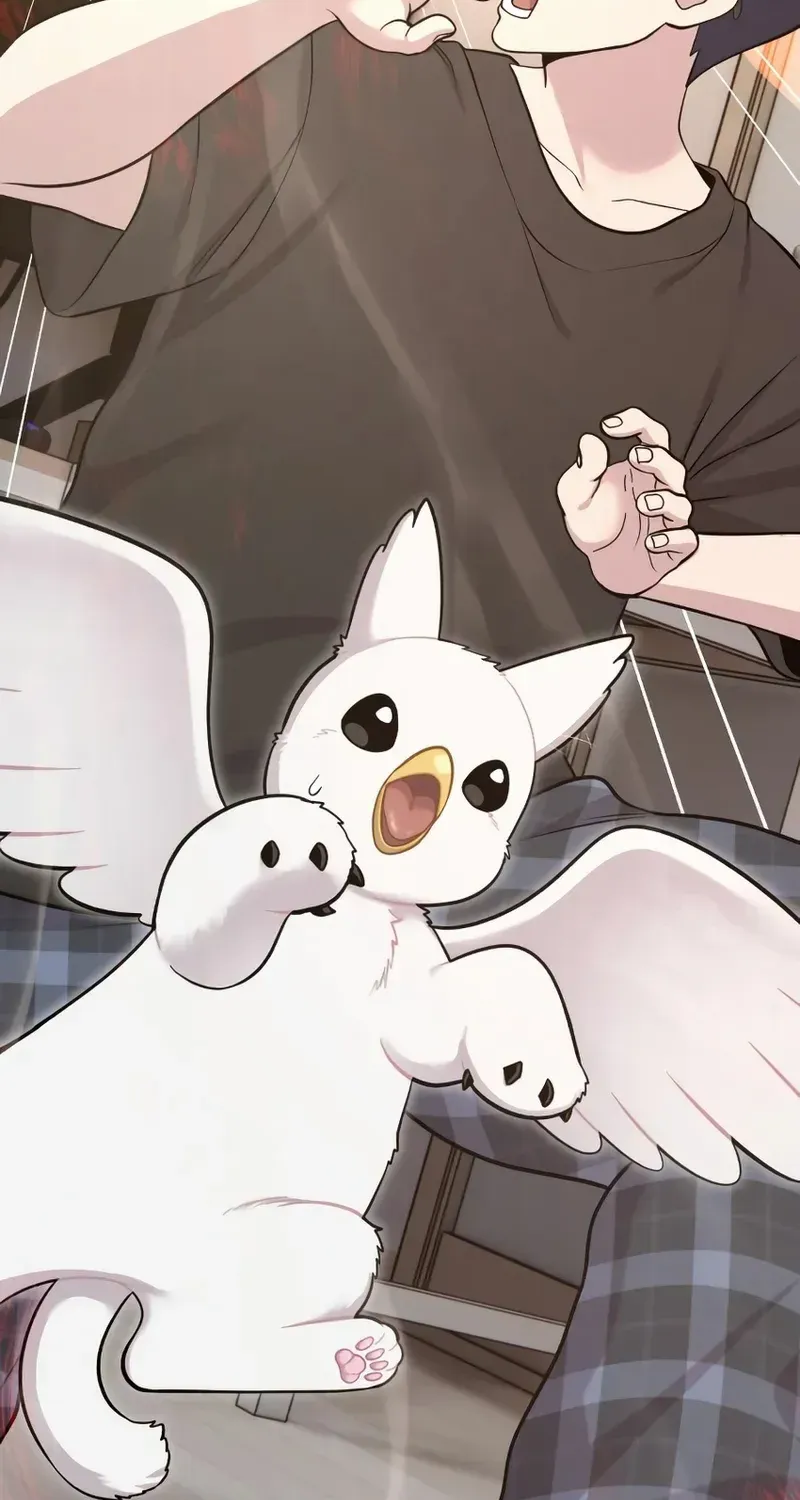 Hello, Griffin the Fluffy Bird! Chapter 12 page 27 - 