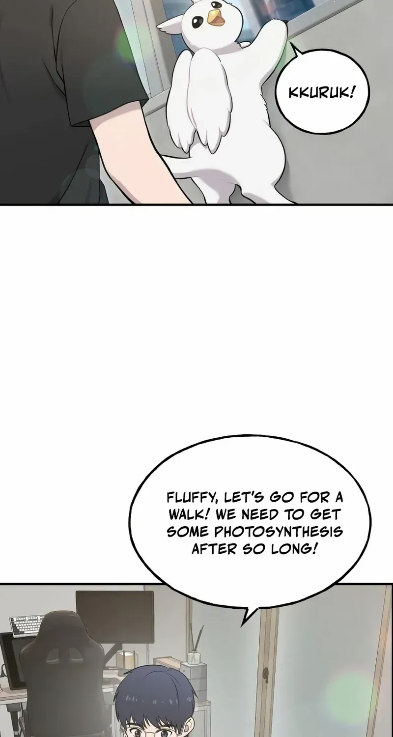 Hello, Griffin the Fluffy Bird! Chapter 12 page 4 - 