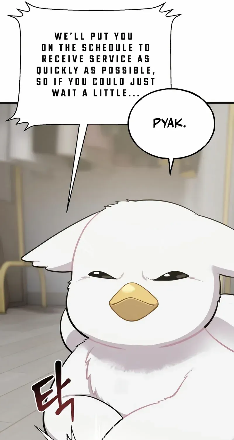 Hello, Griffin the Fluffy Bird! Chapter 12 page 33 - 