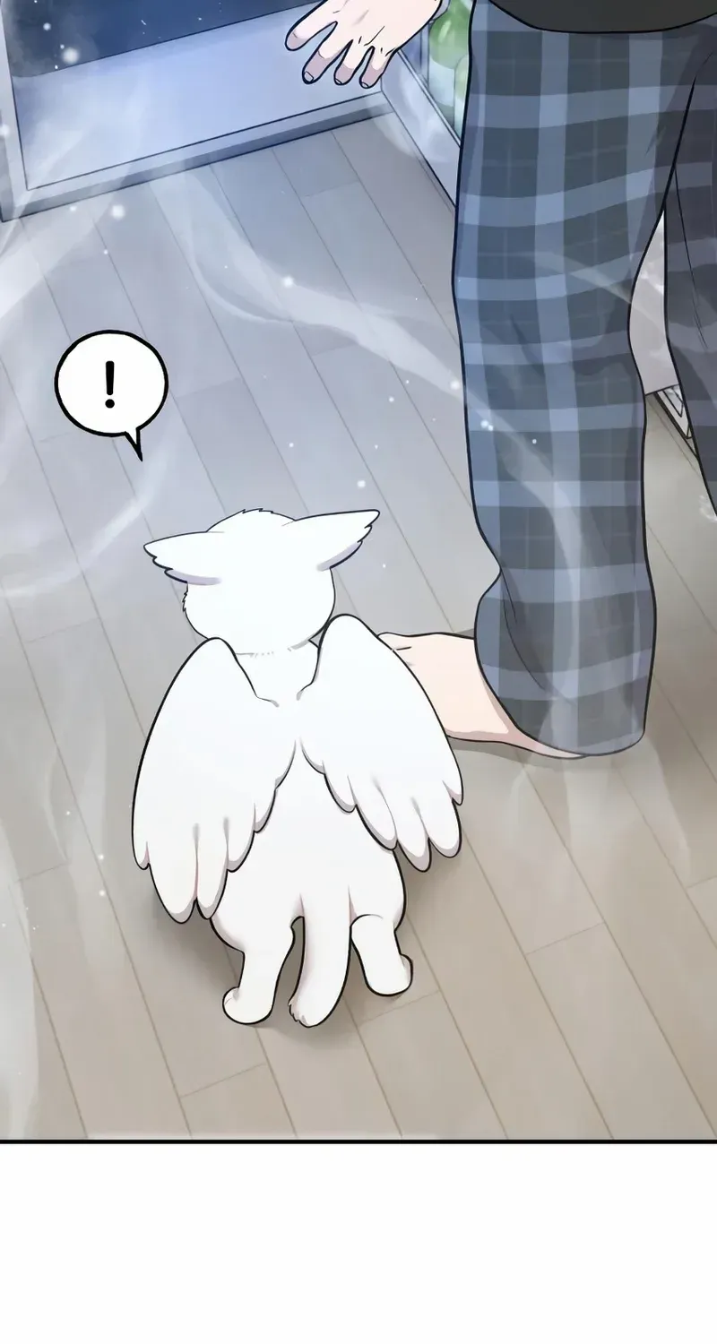 Hello, Griffin the Fluffy Bird! Chapter 12 page 39 - 