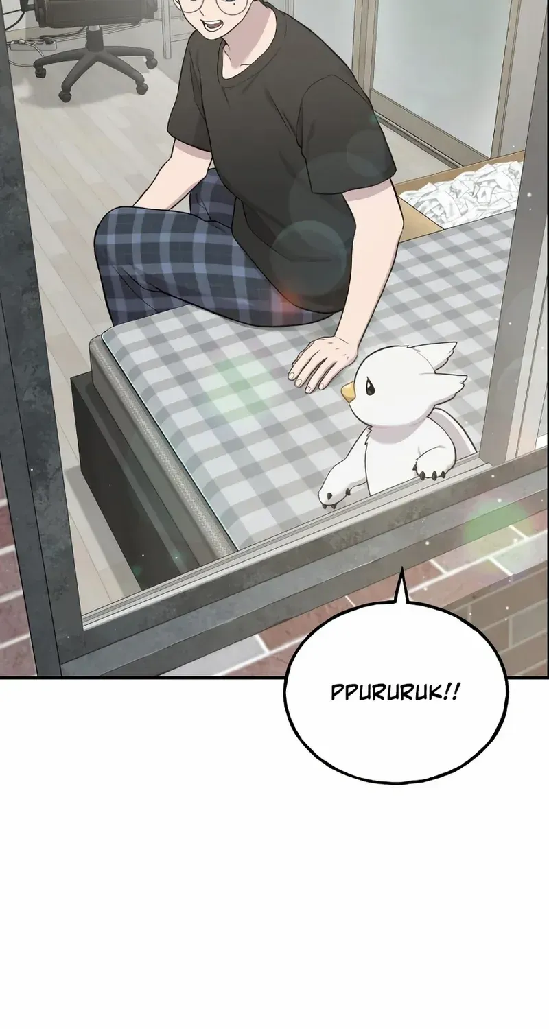 Hello, Griffin the Fluffy Bird! Chapter 12 page 5 - 