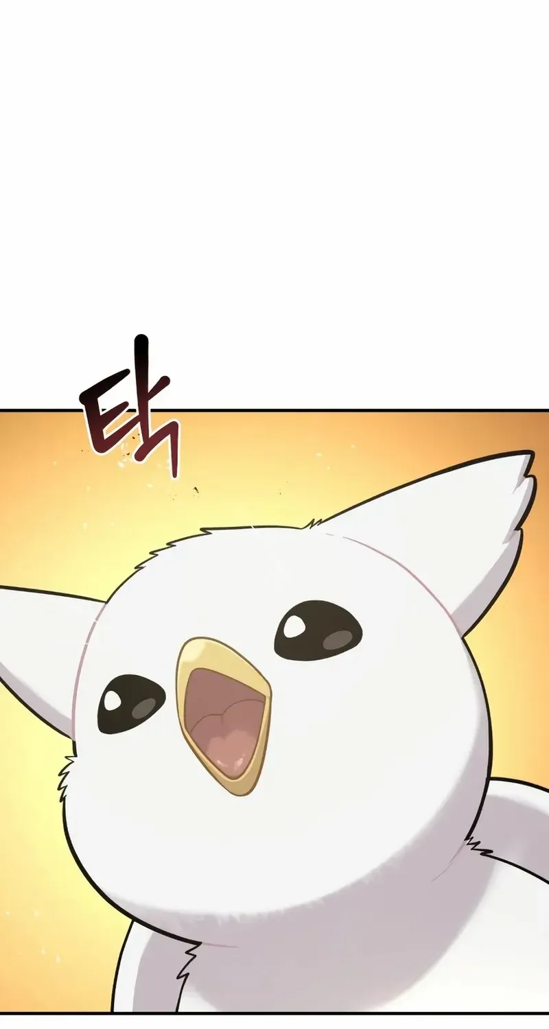 Hello, Griffin the Fluffy Bird! Chapter 12 page 42 - 