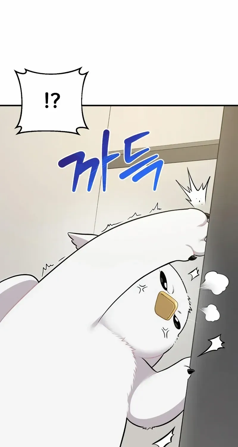 Hello, Griffin the Fluffy Bird! Chapter 12 page 47 - 