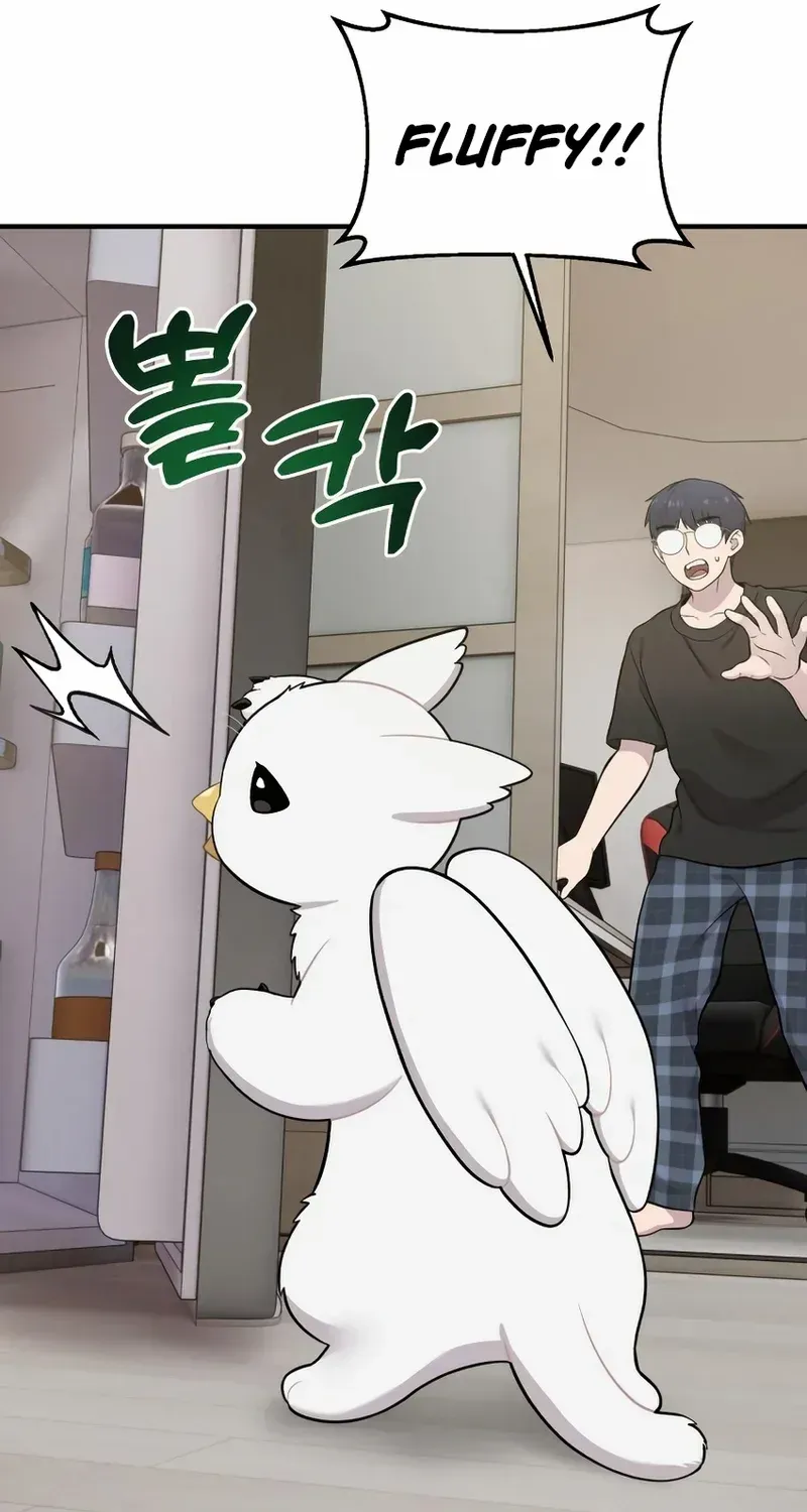 Hello, Griffin the Fluffy Bird! Chapter 12 page 49 - 