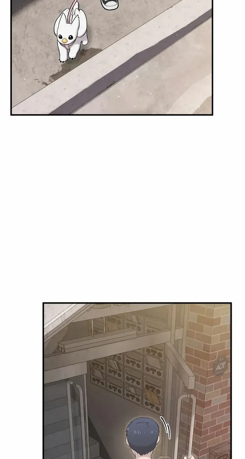 Hello, Griffin the Fluffy Bird! Chapter 12 page 7 - 
