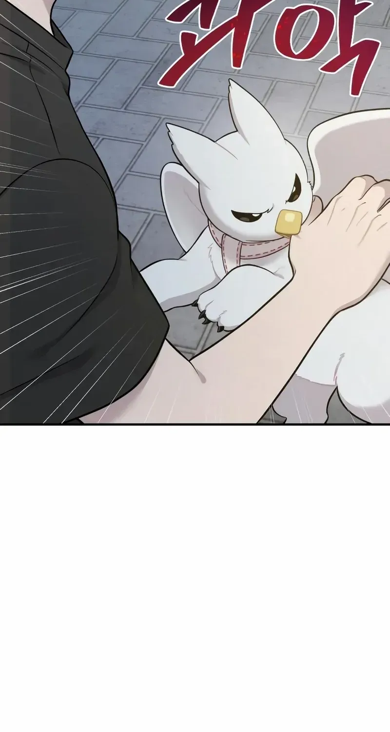 Hello, Griffin the Fluffy Bird! Chapter 12 page 62 - 