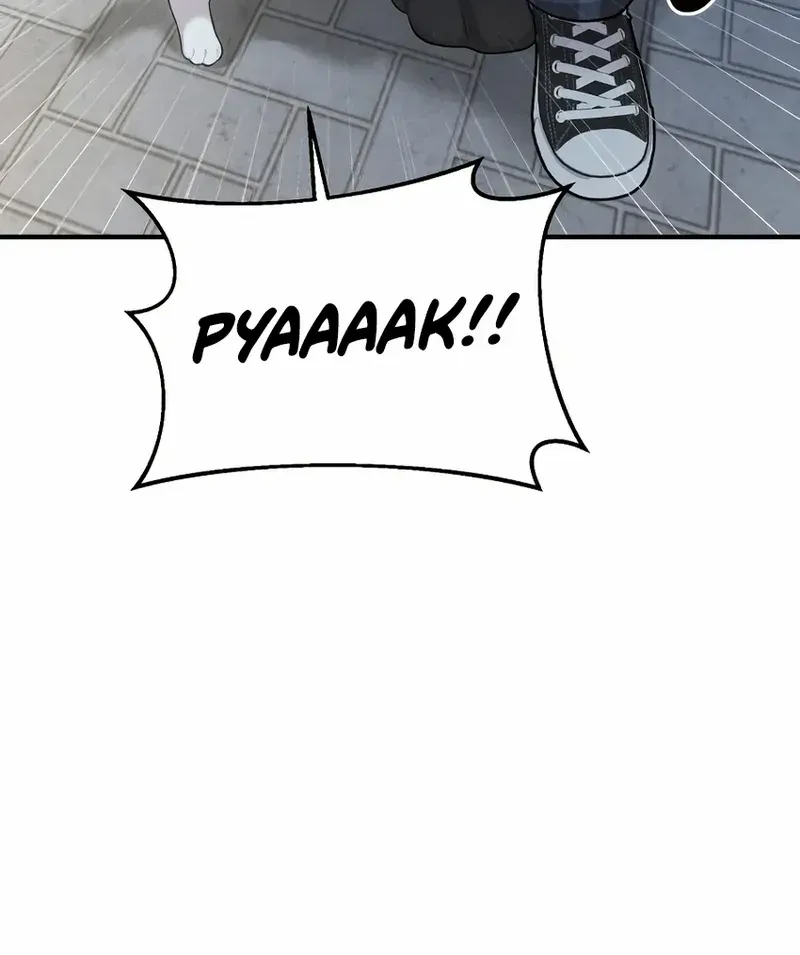 Hello, Griffin the Fluffy Bird! Chapter 12 page 64 - 