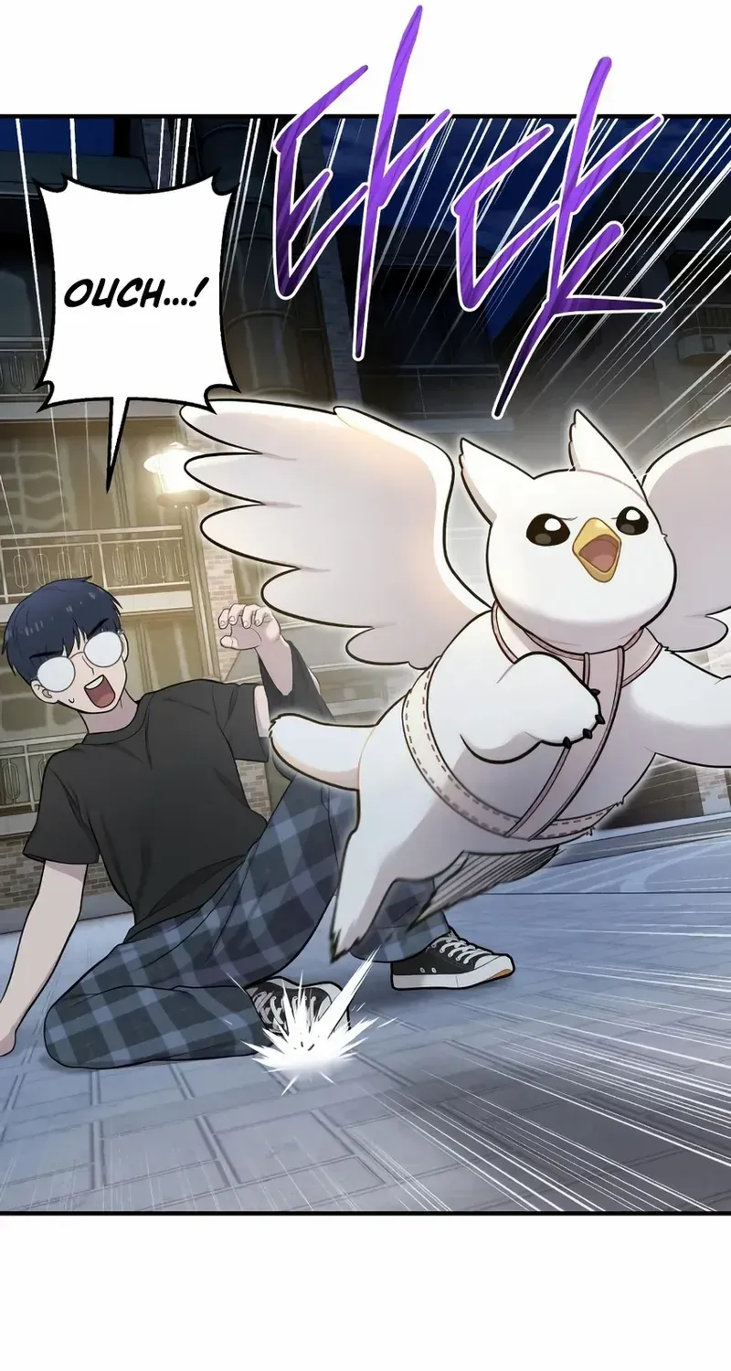 Hello, Griffin the Fluffy Bird! Chapter 12 page 65 - 