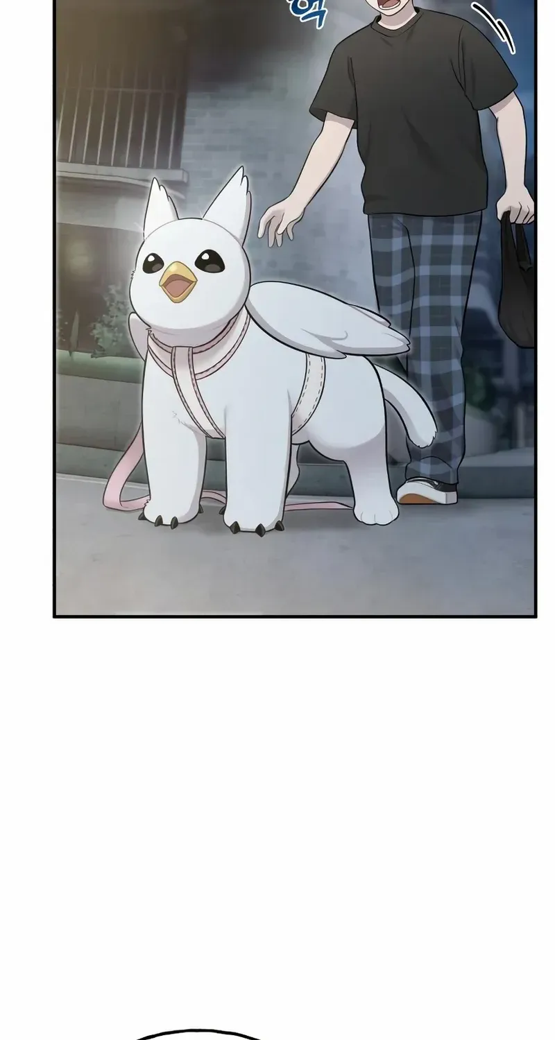 Hello, Griffin the Fluffy Bird! Chapter 12 page 68 - 