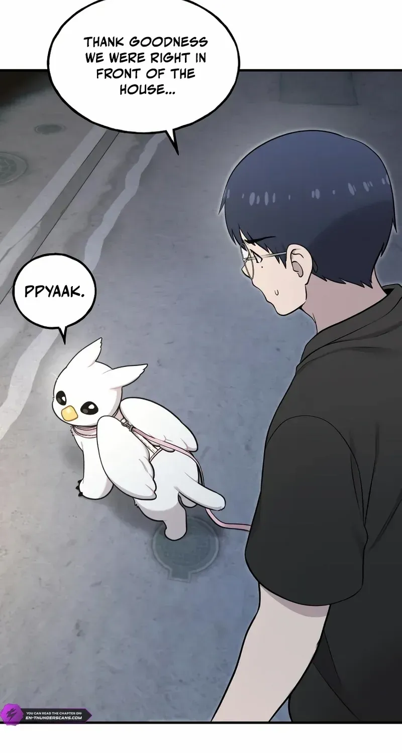 Hello, Griffin the Fluffy Bird! Chapter 12 page 69 - 
