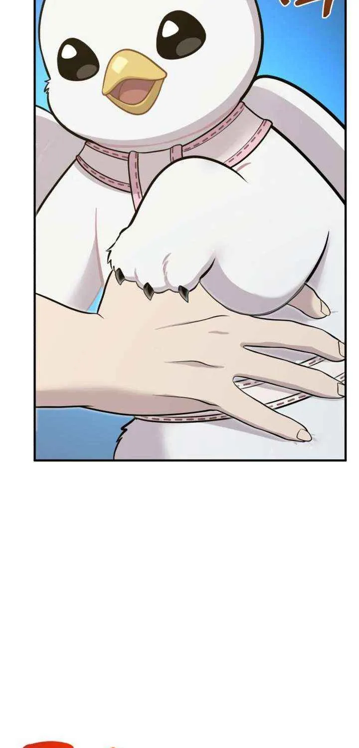 Hello, Griffin the Fluffy Bird! Chapter 13 page 19 - 