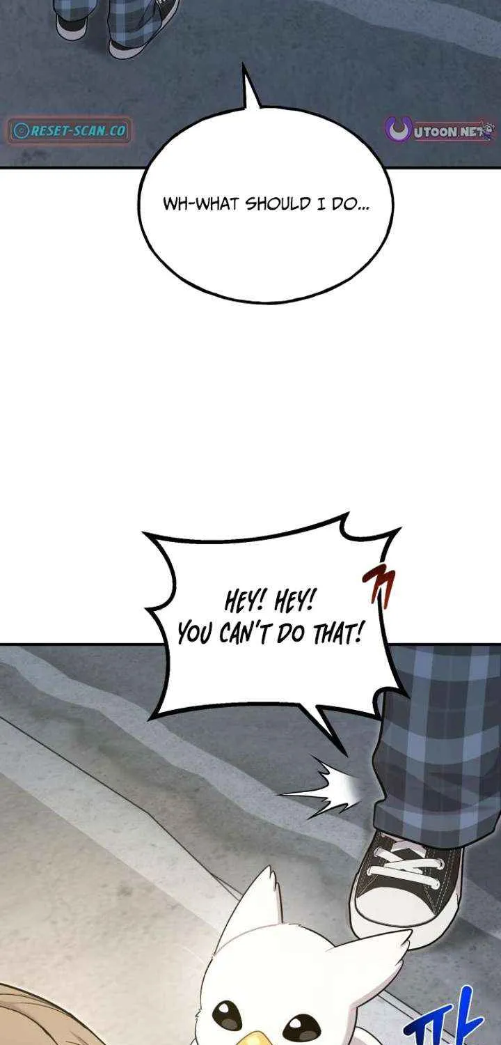 Hello, Griffin the Fluffy Bird! Chapter 13 page 3 - 