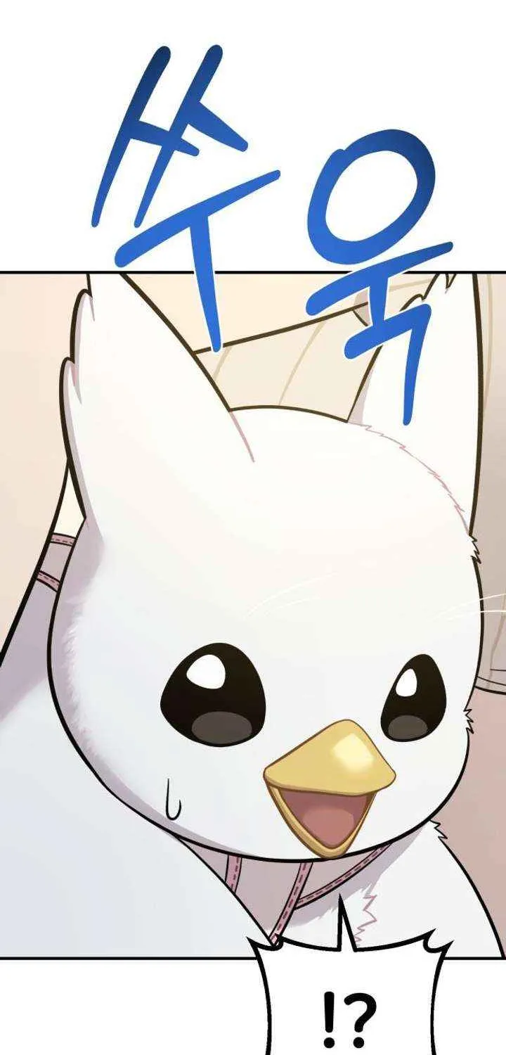 Hello, Griffin the Fluffy Bird! Chapter 13 page 23 - 
