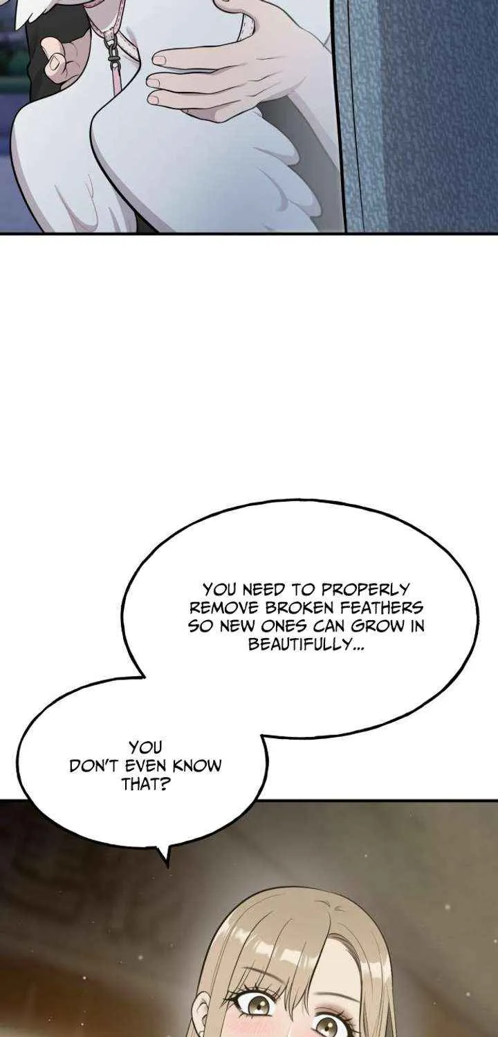 Hello, Griffin the Fluffy Bird! Chapter 13 page 29 - 